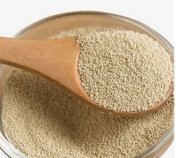 DRY YEAST 100gm