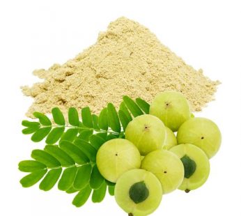 AMLA POWDER 100GM
