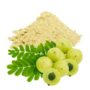 AMLA POWDER 100GM