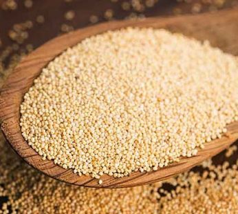KHASKHAS POPPY SEEDS 100GM