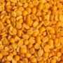 PIGEON PEAS/ TOOR DAL