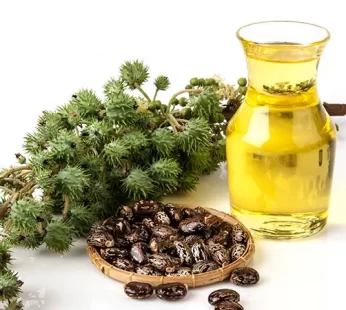 CASTOR OIL