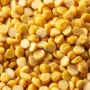 SPLIT CHANA DAL/ BENGAL GRAM DAL
