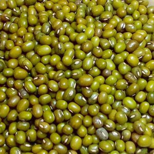 WHOLE GREEN MOONG DAL