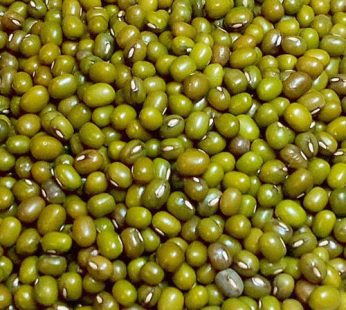 WHOLE GREEN MOONG DAL