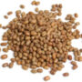 MOTH BEANS/ MATKI