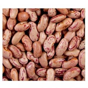 RAJMA CHITRA