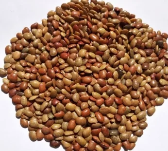 HORSE GRAM 1KG