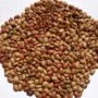 HORSE GRAM 1KG
