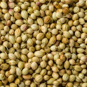 CORRIANDER SEEDS 500GM
