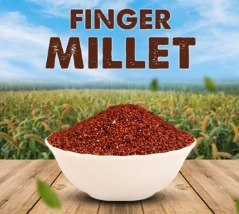 FINGER MILLET (RAGI WHOLE) 500GM