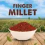 FINGER MILLET (RAGI WHOLE) 500GM