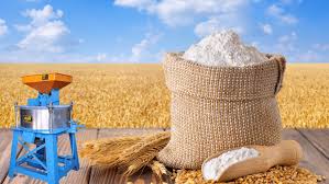 Fresh/Lentis/Atta/Flour
