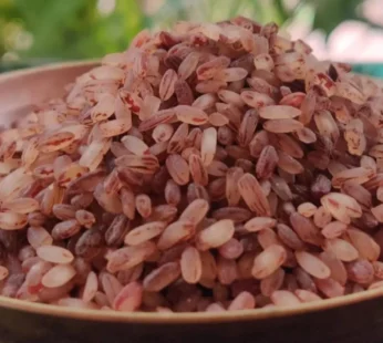 MATTA RICE 5KG