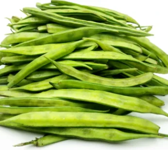 GAWAR 300GM