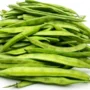 GAWAR 300GM
