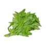 ITALIAN BASIL 100GM