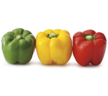 CAPSICUM TRI COLOR