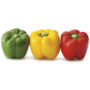 CAPSICUM TRI COLOR