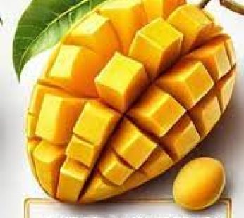 ALFONSO MANGO 12PC