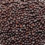 MUSTURD SEEDS FINE 100GM