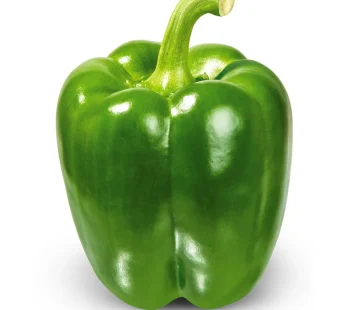 LOCAL GREEN CAPSICUM 1PC