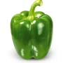 LOCAL GREEN CAPSICUM 1PC